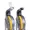 FOCPENMPO316C