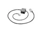 Plantronics-85R43AA