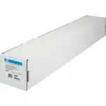 HP C6030C