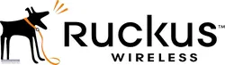 Ruckus-10G-SFPP-TWX-P-0301