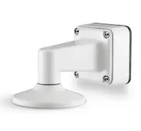 Arecont Vision MCD-WMT-W