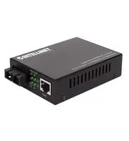 Intellinet-508544