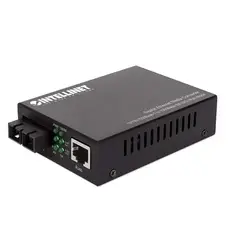 Intellinet-508544