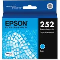 EPSON-EPST252220-S