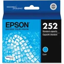 EPSON-EPST252220-S