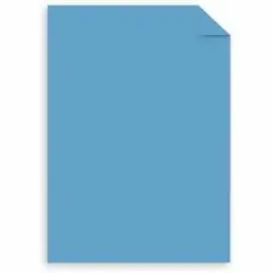 NEENAH PAPER-SOU 41SM