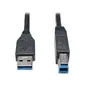 EATON TRIPP LITE SERIES CONNECTIVIT-U322-010-BK