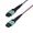 OS2MTP24BOFNP10M