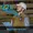 AEGIS110