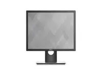 DELL-DELL-P1917SE