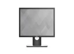 DELL-DELL-P1917SE