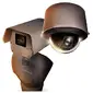 Ava Security-WLMT-1001