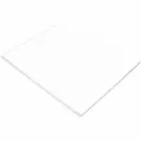 PACON CORPORATION-PAC 103090