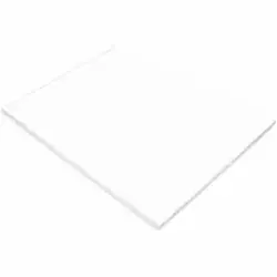 PACON CORPORATION-PAC 103090