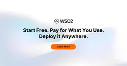 WSO2 LLC-C-ASG-B2B-P-5000-U