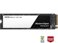 WESTERN TECH SYSTEMS-WDS250G2B0A