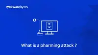 MALWAREBYTES-TDULTS24B1000